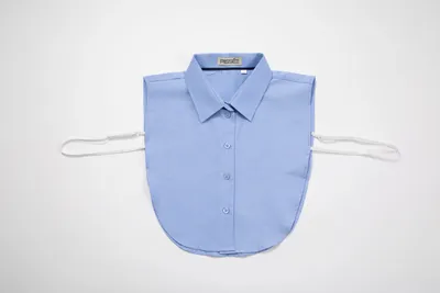 צווארון תכלת עם פס כחול